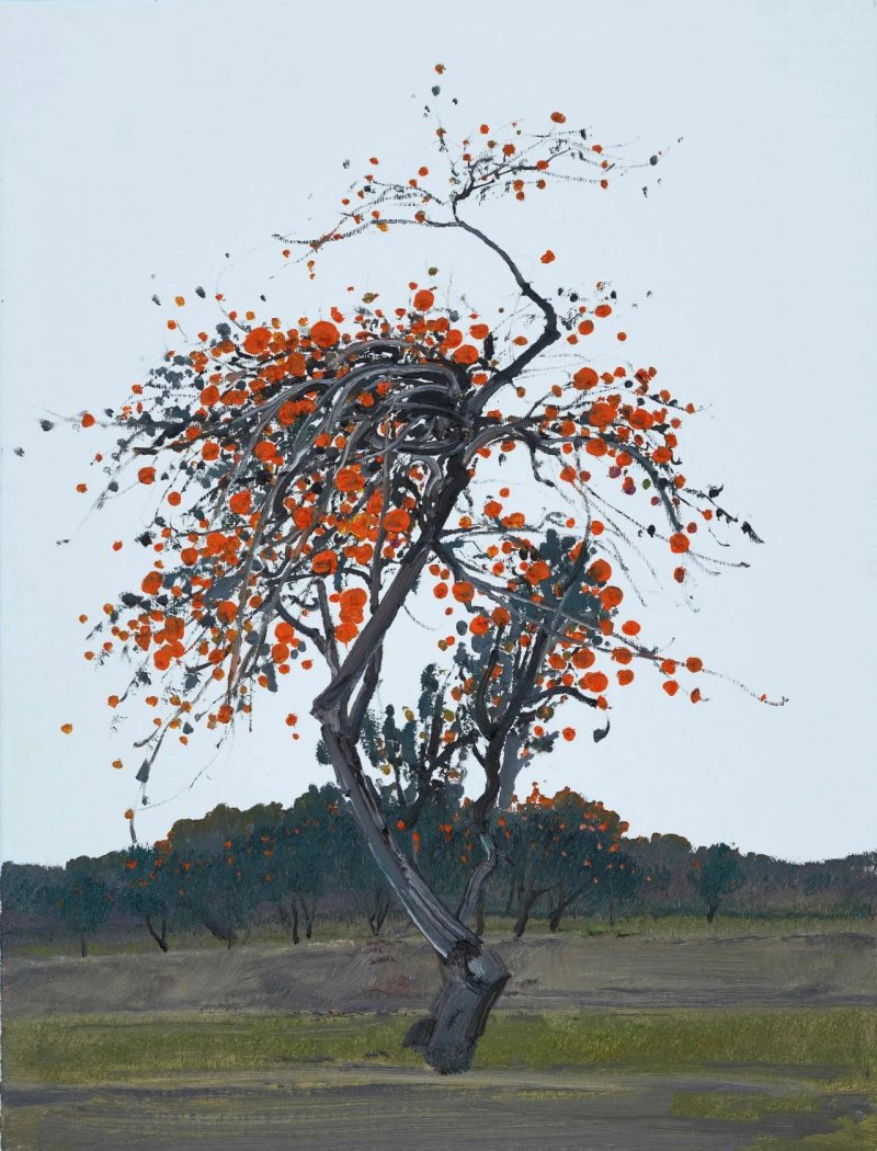 《蜜桔湖桔園》60x80cm??2023年