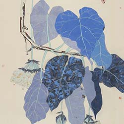 熱帶寫生重彩系列——淡淡的非洲芙蓉花90x63cm2020