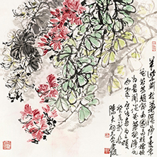 洋紫荊