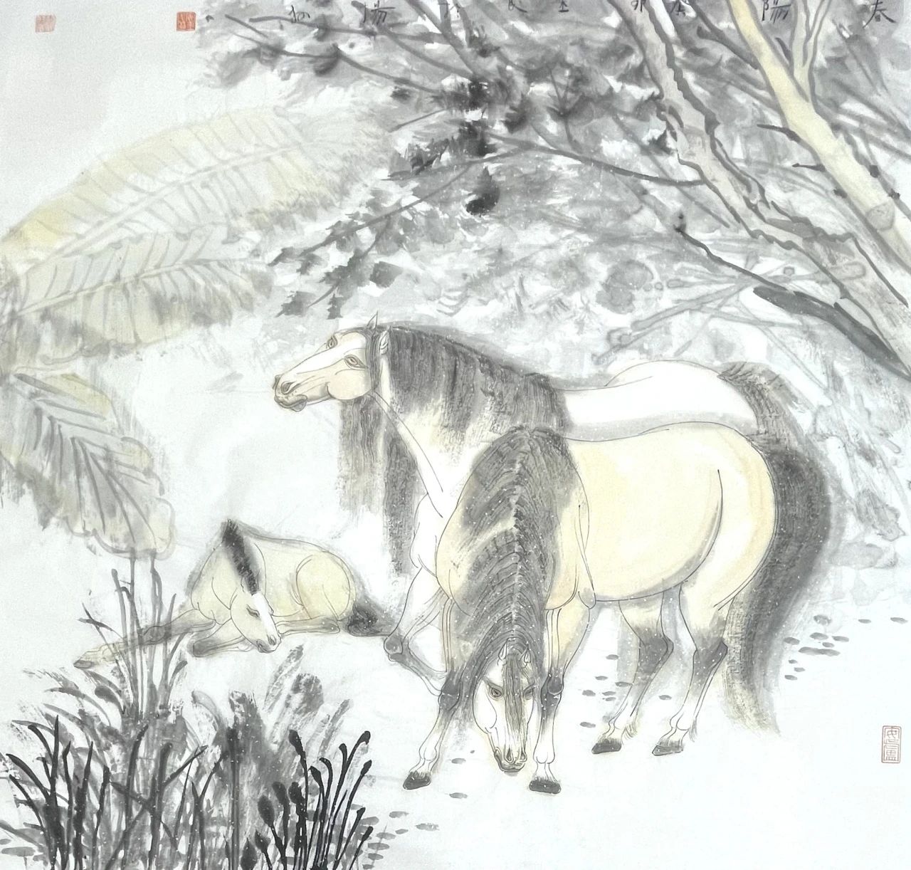 駿馬