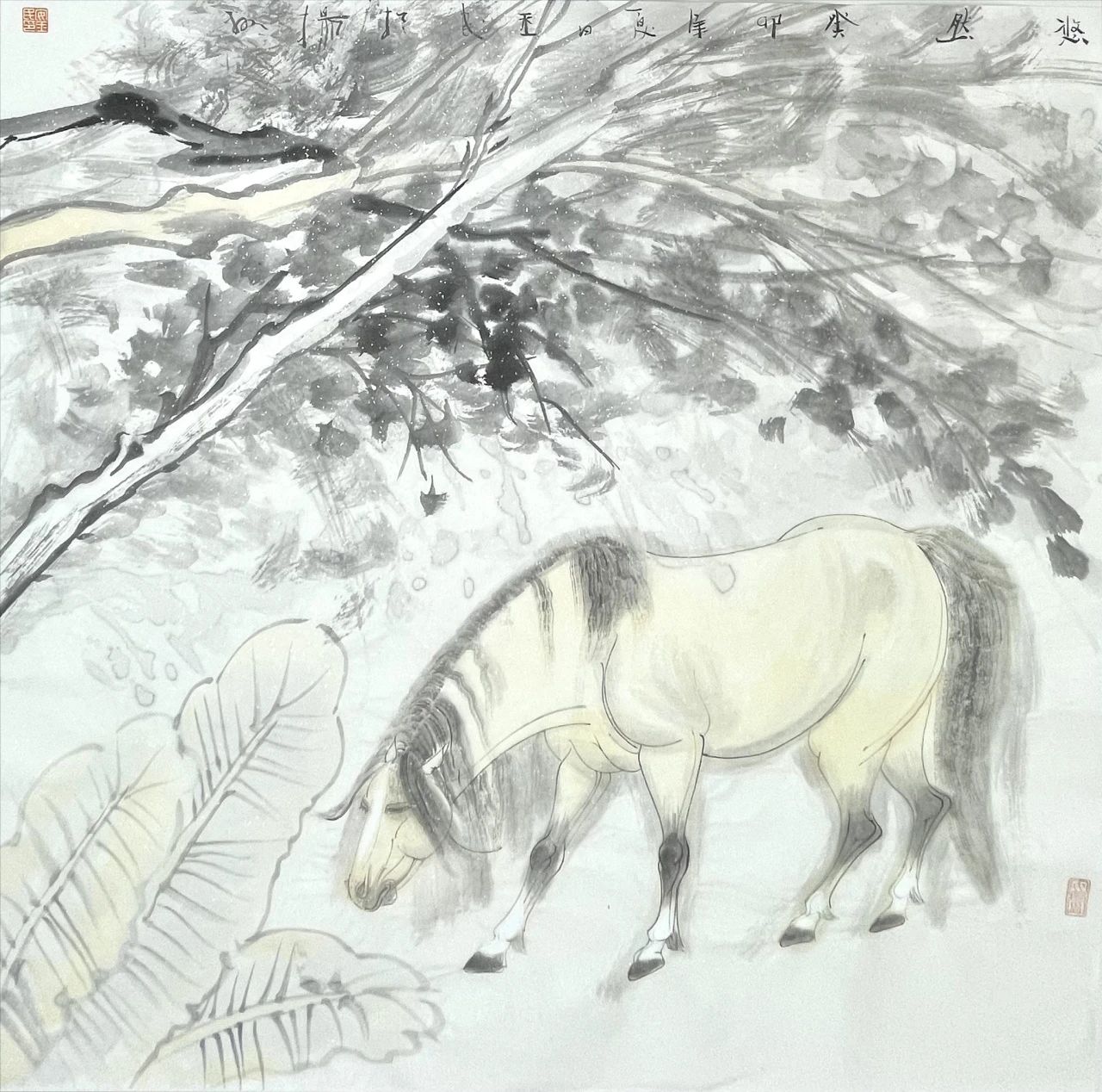 駿馬
