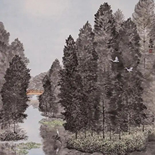 云杉水鏡