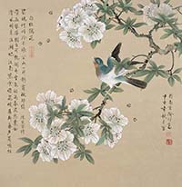 白杜鵑花