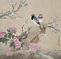 茶梅藍鵲