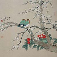 茶梅綠鸚