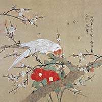 寒玉春暉